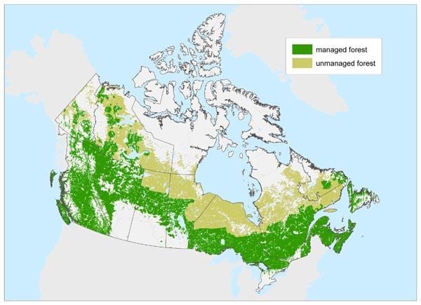 mapa do Canadá florestas