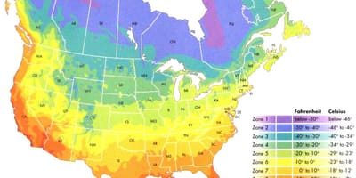 Canadá zona de temperatura mapa