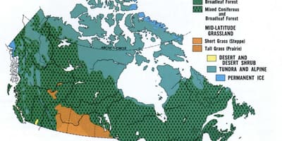 Mapa do Canadá vegetação